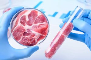 Carne de laboratório: a biotecnologia que está transformando o futuro da alimentação